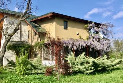 Vila de poveste 5 camere zona Bolintin Vale, judetul Giurgiu - 9