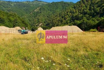 Teren Jude?ul Valcea - Brezoi, Valea lui Stan Teren Jude?ul Valcea - Brezoi, Valea lui Stan - 13