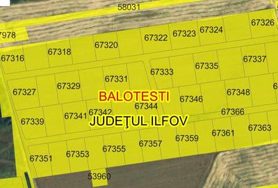 Balotesti Albinelor 8400mp 34euro/mp - 7