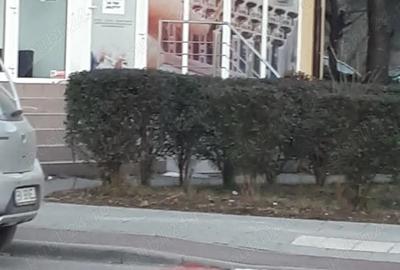 Spațiu comercial, de 30 mp, în Calea Moldovei - 1