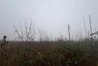 COMISION 0 | Teren intravilan | 17.700 mp | Zona Freidorf - 2