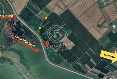 Teren agricol intravilan de 4472 mp, în Cornetu - 3