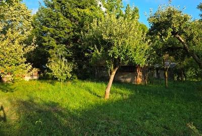 Teren intravilan de 2500 mp, în Breaza de Jos - 8