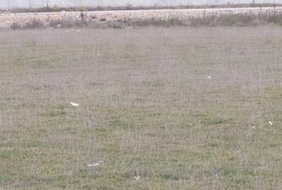 Teren Intravilan 700 mp  Bartolomeu - 3