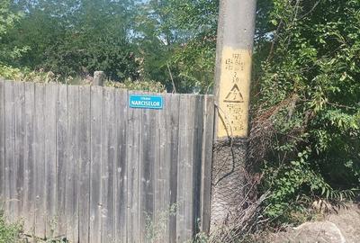 Casă cu Teren 25000 Mp în Blăgești - 5