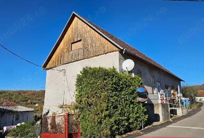 Casă în Ribița - 3