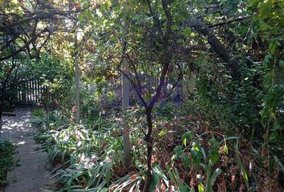 Casă cu 3 camere cu Teren 288 Mp în Eroii Revoluției - 2