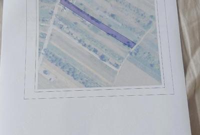 Teren de 5000 mp, în Adunații-Copăceni - 1