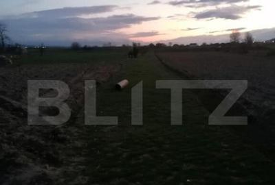 Teren de 2900 mp, în Central