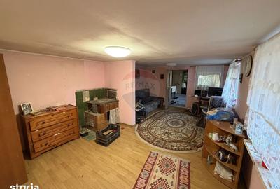 Casă cu 5 camere cu Teren 3818 Mp în Vidra - 3