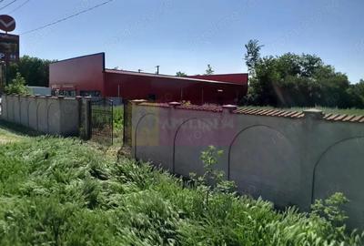 Movilita (IL)-teren de inchiriat aprox. 2 ha stradal, langa Profi - 2