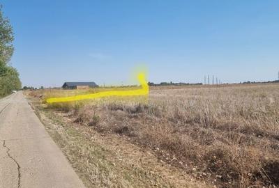 Teren de 10000 mp, în Balotești - 3