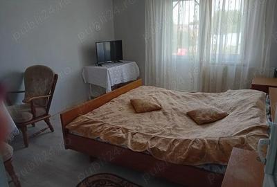Casă cu 6 camere cu Teren 565 Mp în Ișalnița - 4