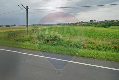 Teren 4 948 mp Bradesti / Racarii de Jos - 1