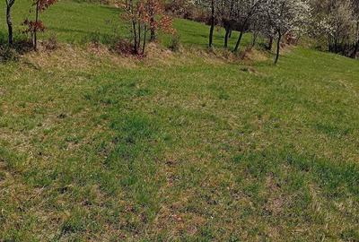 Teren de 2800 mp, în Ormindea - 3