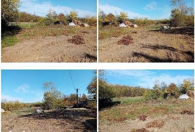 Teren de 2737 mp, în Buzoești - 3