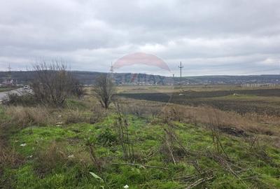 Teren agricol extravilan de 41025 mp, în Periferie - 8