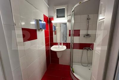 Apartament 2 camere, 50 MP, Pet Friendly, zona-Centru - 6