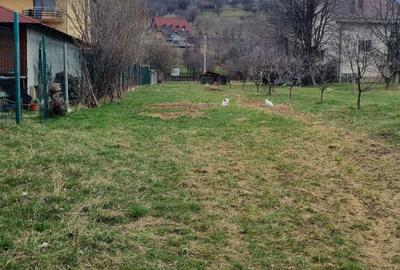 Spațiu comercial, în Bran - 2