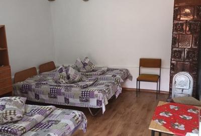Casa 5 camere Rau Sadului - 9