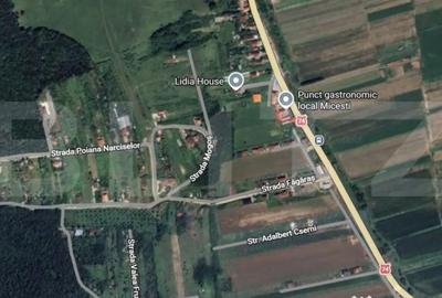 Teren de 4200 mp, în Șard - 1