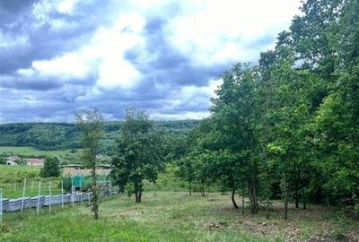 RECO teren de vanzare in zona Betfia - 5