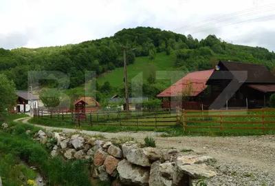 Casa de vacan?a in Valea Inzelului TRANSAPUSEANA, 459 mp totali. - 9