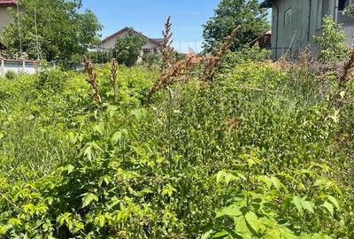 REL4000844 Teren Voluntari Intravilan Pretabil Case Investitie REL4000844 Teren Voluntari Intravilan Pretabil Case Investitie - 10