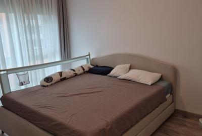 în ansamblul rezidențial Iris Armoniei Aradului- mobilat și utilat - 10