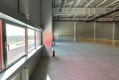 Hale de inchiriat aproape de DNCB - 6