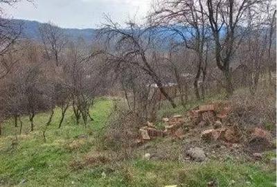 Teren de 1935 mp, în Vulcana-Băi - 4