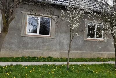 Casa vanzare jud arad