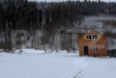 Cabana la munte in inima padurii la 15 km de Brasov, zona Zizin - 1