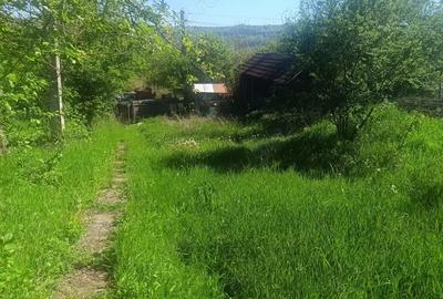 Casă cu 3 camere cu Teren 8900 Mp în Argetoaia - 1