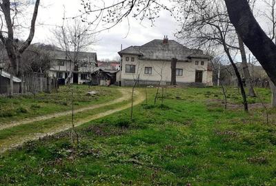 Casa de vanzare Domnesti Arges - 10