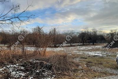 Teren intravilan 1000 mp de vanzare pe Valea Avrigului - 3