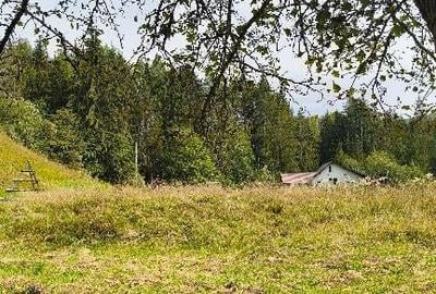 Teren intravilan Valea Doftanei - 14