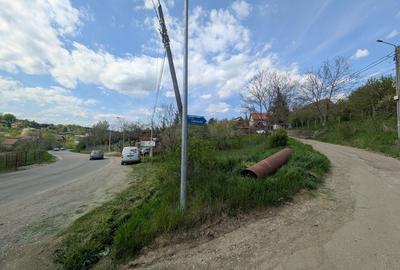 Spațiu comercial, în Central
