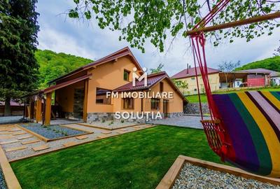 Casă individuală cu 4 camere cu Teren 6200 Mp în Ferneziu - 25