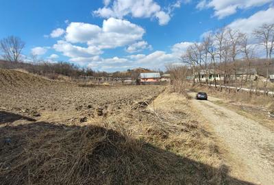 Teren de 2568 mp, în Răcăciuni - 6