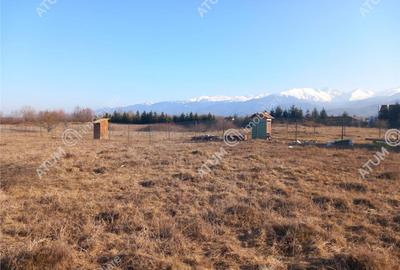 Teren intravilan 7900 mp de pe Valea Avrigului - 4