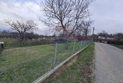 Teren intravilan la Strada Principala in Haulisca - 3