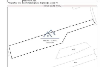 Teren intravilan 8147 mp Baicule?ti, jud. Arge? - 4