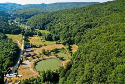 FILM! Teren extravilan pe 2.737mp,zona pretioasa,acces facil,Dobarlau,Covasna - 10