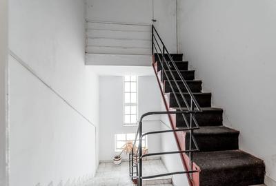 Vila individuala de exceptie Praporgescu Malul Mureșului - 5