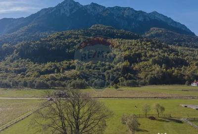 Teren de 3997 mp, în Plaiul Foii - 4