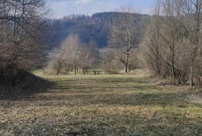 Casa si teren de vanzare, direct proprietar, intrare Bucsoaia, Suceava - 4