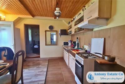 Green Field - casa de , 10 KM de Oradea, Betfia, Bihor - 8