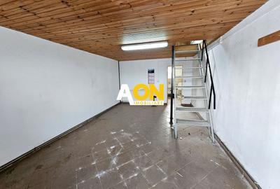 Spațiu industrial, de 550 mp, în Lunca Mureșului - 9