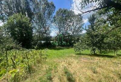 Teren Construcții intravilan de 3200 mp, în Fedeleșoiu - 2
